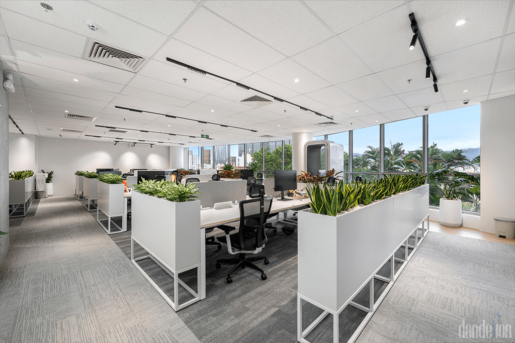 Open working area filled with light and greenery creates a lot of inspiration for creativity and work.